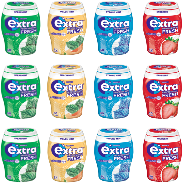 EXTRA® PROFESSIONAL Fresh 12 Dosen - 4 Sorten - pro Dose 70g